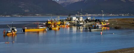 “Estamos buscando las zonas altas”: el sismo en el sur de Chile que obligó a evacuar un pequeño pueblo fueguino “Estamos buscando las zonas altas”: el sismo en el sur de Chile que obligó a evacuar un pequeño pueblo fueguino imagen-4