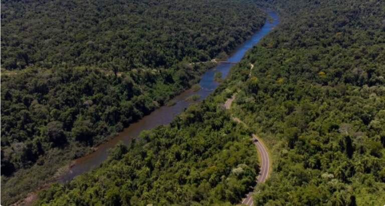 Cuenca Forestal Yabotí: cómo continuar con la reducción de gases de efecto invernadero imagen-30