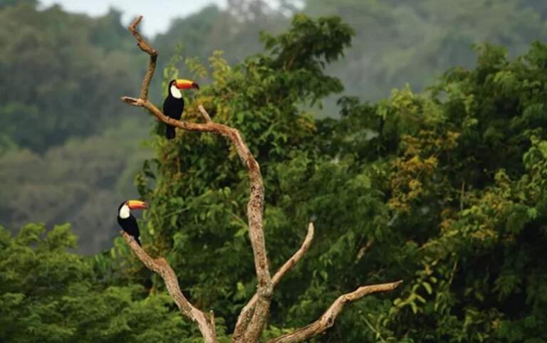 Nación convalidó oficialmente el Plan de Respuesta al Cambio Climático de Misiones, una de las pocas provincias en el país con una hoja de ruta concreta frente al calentamiento global imagen-26