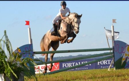 Torneo hípico: “Posadas está preparada con infraestructura y servicios para recibir este tipo de eventos", destacan imagen-8