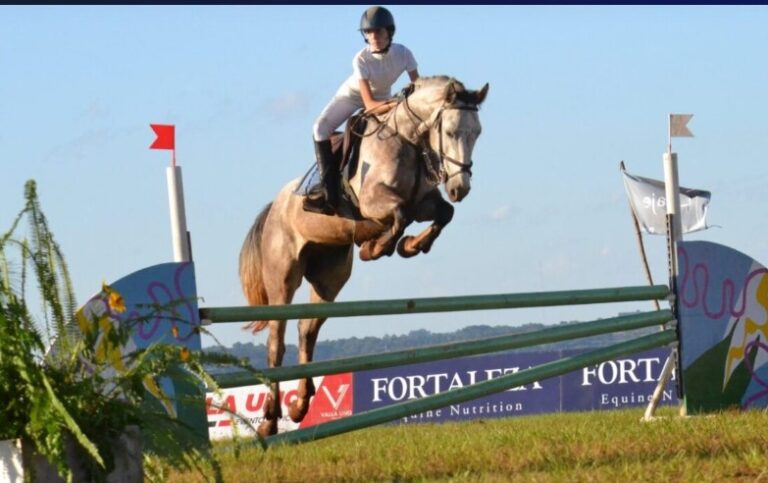 Torneo hípico: “Posadas está preparada con infraestructura y servicios para recibir este tipo de eventos", destacan imagen-49