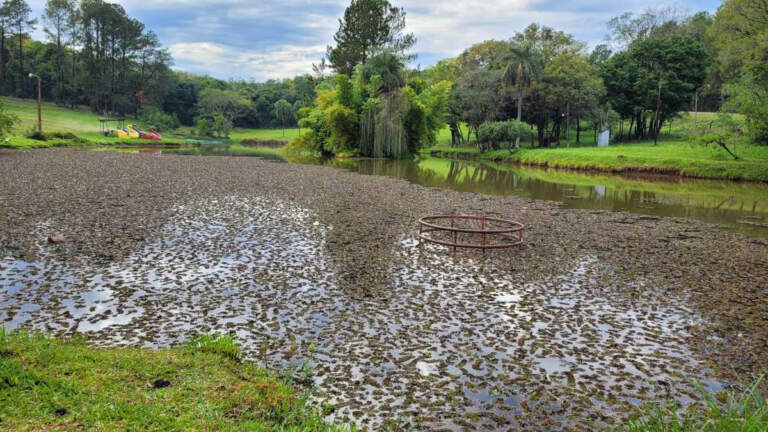 El Salto Berrondo se renueva: iniciarán tareas de saneamiento y mejora en su emblemático lago imagen-31