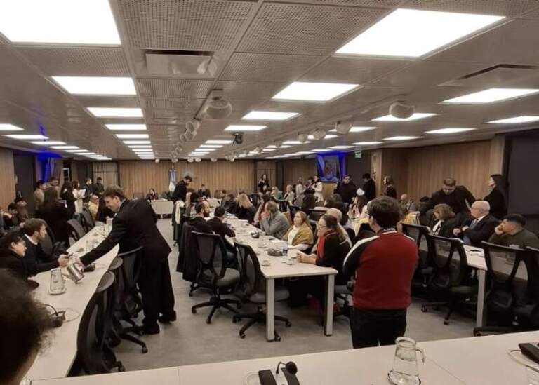 Misiones remarcó la importancia de contar con un Defensor Nacional de los Derechos de NNyA con una mirada federal imagen-30