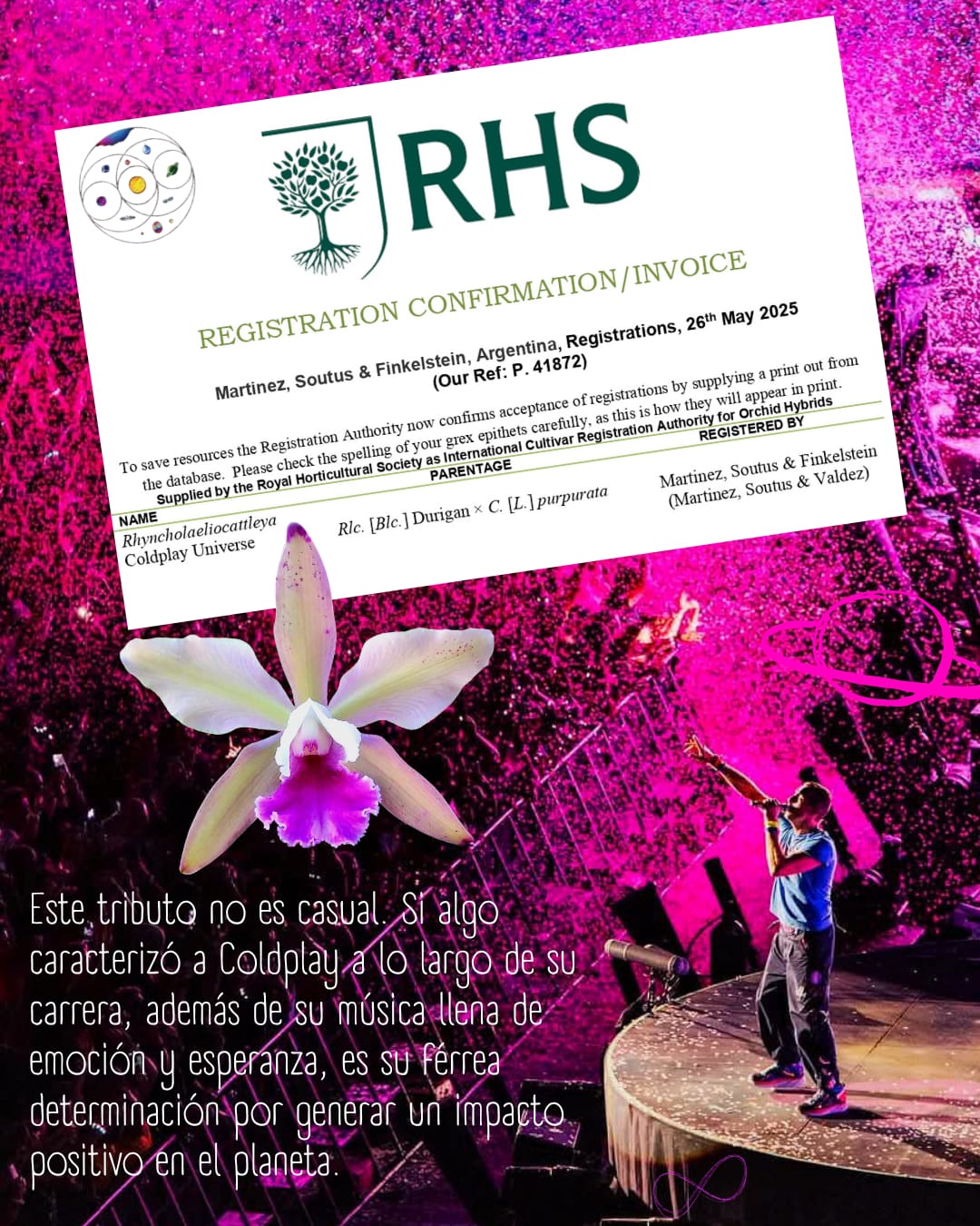 Tributo a la misionera: la banda Coldplay también es una orquídea, homenaje que florece en Argentina 5 Tributo a la misionera: la banda Coldplay también es una orquídea, homenaje que florece en Argentina imagen-4