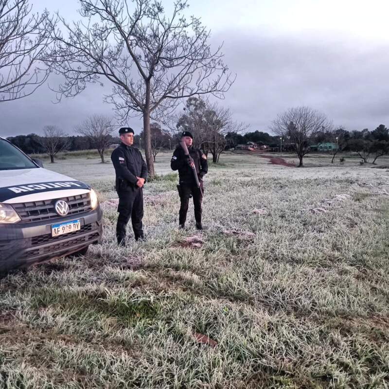 Ola polar: Misiones amaneció este martes con intensas heladas en distintas localidades y registros bajo cero 5 Ola polar: Misiones amaneció este martes con intensas heladas en distintas localidades y registros bajo cero imagen-4