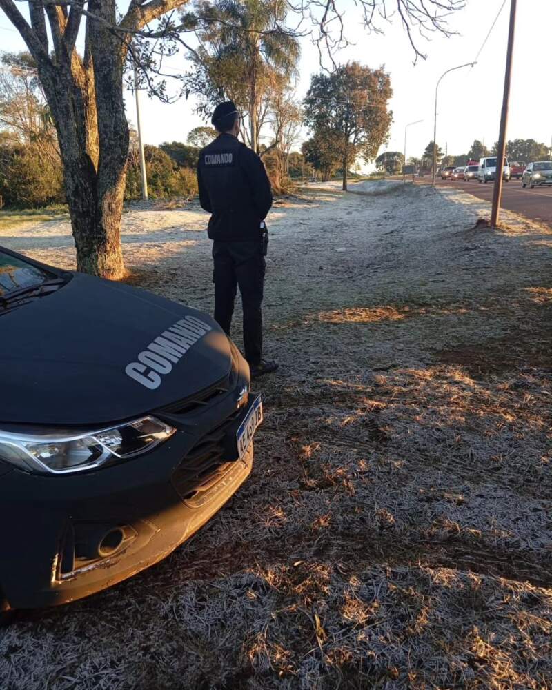 Ola polar: Misiones amaneció este martes con intensas heladas en distintas localidades y registros bajo cero 7 Ola polar: Misiones amaneció este martes con intensas heladas en distintas localidades y registros bajo cero imagen-6