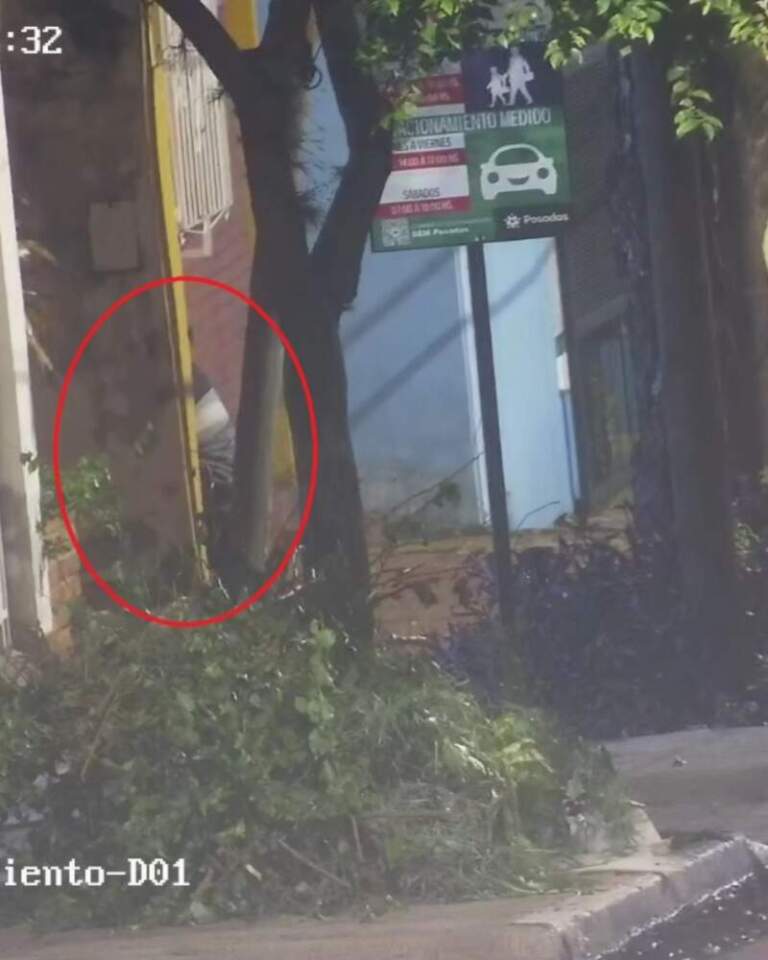 Monitoreo de cámaras y patrullajes permitieron esclarecer delitos y detener a los delincuentes imagen-30