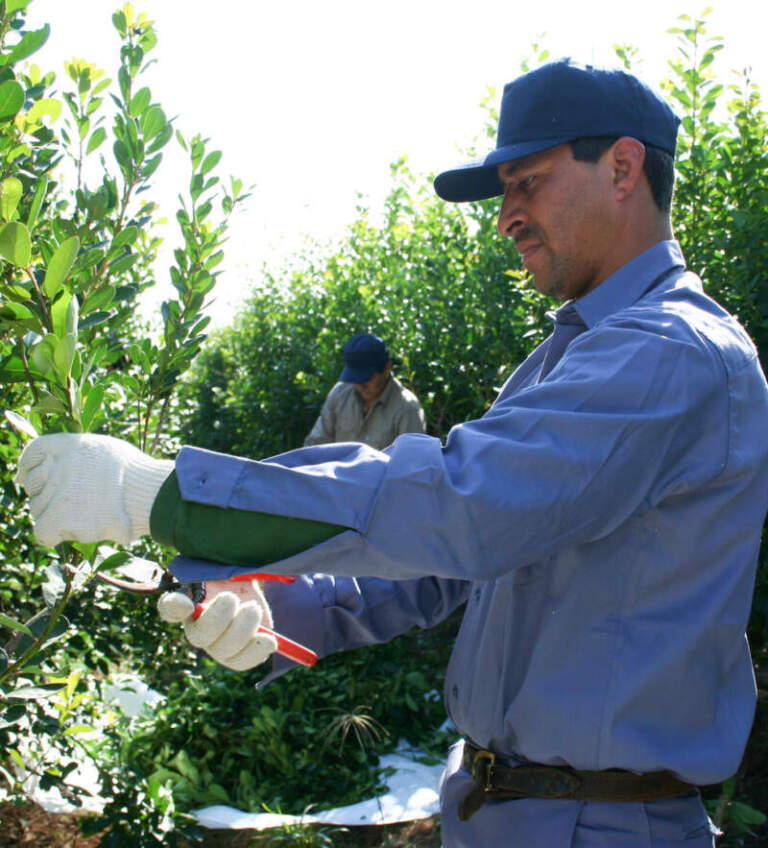 Día Nacional del Tarefero: Compromiso del Inym de seguir trabajando "para generar mejores condiciones que contribuyan al bienestar de la familia tarefera" imagen-3
