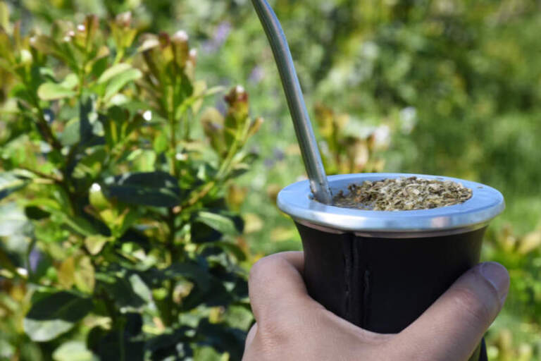 Las ventas de yerba mate sumaron 135,6 millones de kilos al cierre de mayo imagen-45