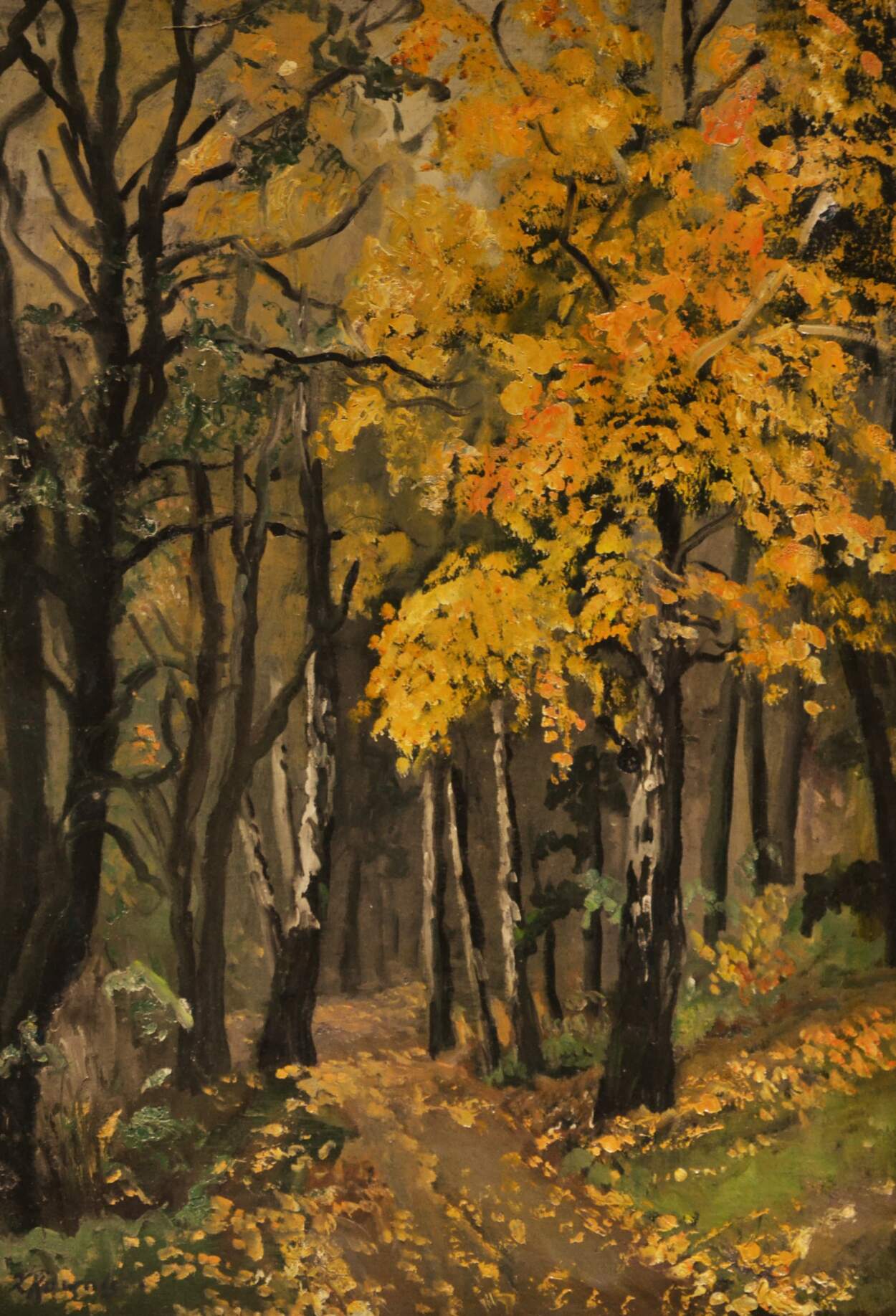 Se inaugura en Oberá “Los paisajes que me esperaban”, muestra de Zygmunt Kowalski inspirada en su regreso a Polonia imagen-2