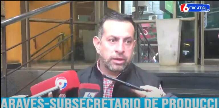 Con un nuevo programa genético, Misiones apunta a fortalecer su autoabastecimiento de carne bovina en los próximos años imagen-50