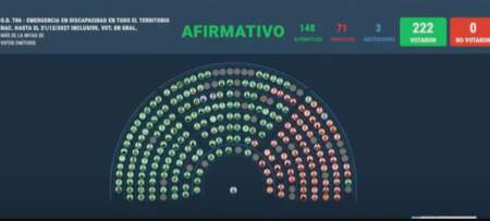 La Cámara de Diputados aprobó la ley de emergencia en discapacidad La Cámara de Diputados aprobó la ley de emergencia en discapacidad imagen-8