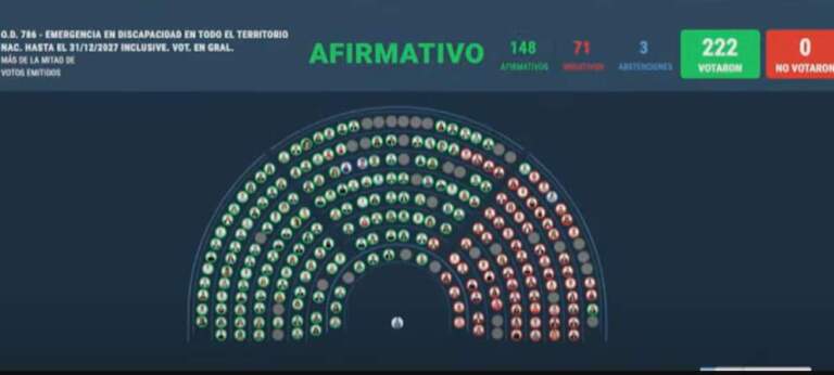 La Cámara de Diputados aprobó la ley de emergencia en discapacidad imagen-10