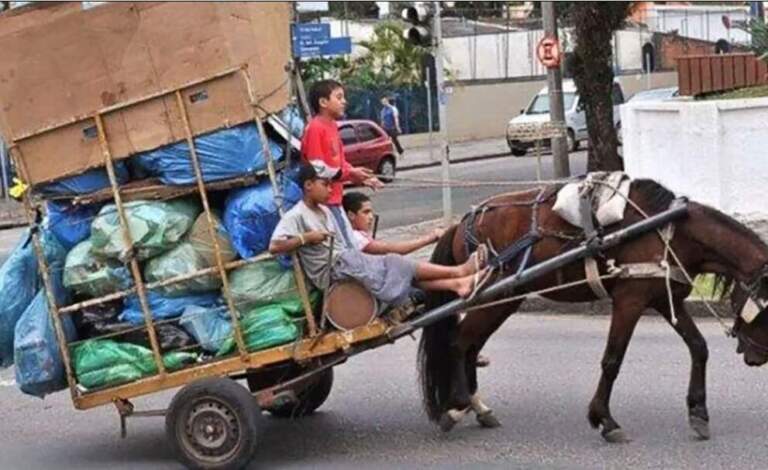 Niñez interrumpida: más de 138 millones de niños trabajan en el mundo y en Argentina no hay cifras oficiales desde 2017 imagen-39
