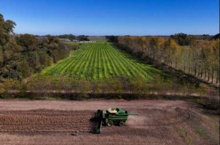 Oficial: el Gobierno dispuso que el 1° de julio vuelvan a subir las retenciones a la soja y el maíz imagen-1