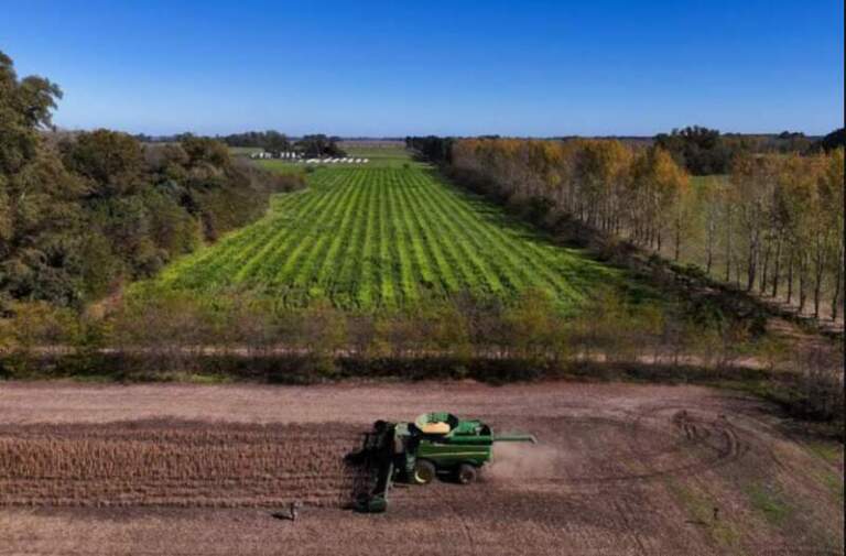 Oficial: el Gobierno dispuso que el 1° de julio vuelvan a subir las retenciones a la soja y el maíz imagen-9