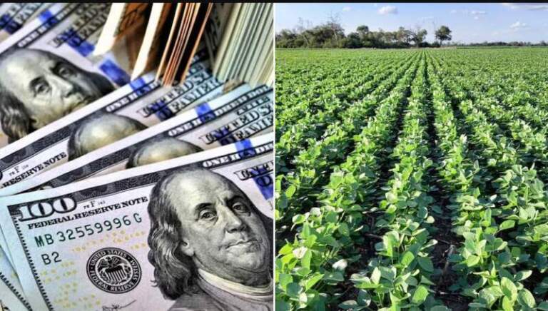 Cuánto dejó de recaudar el Gobierno por reducir las retenciones a la soja y qué pasará si las sube imagen-2