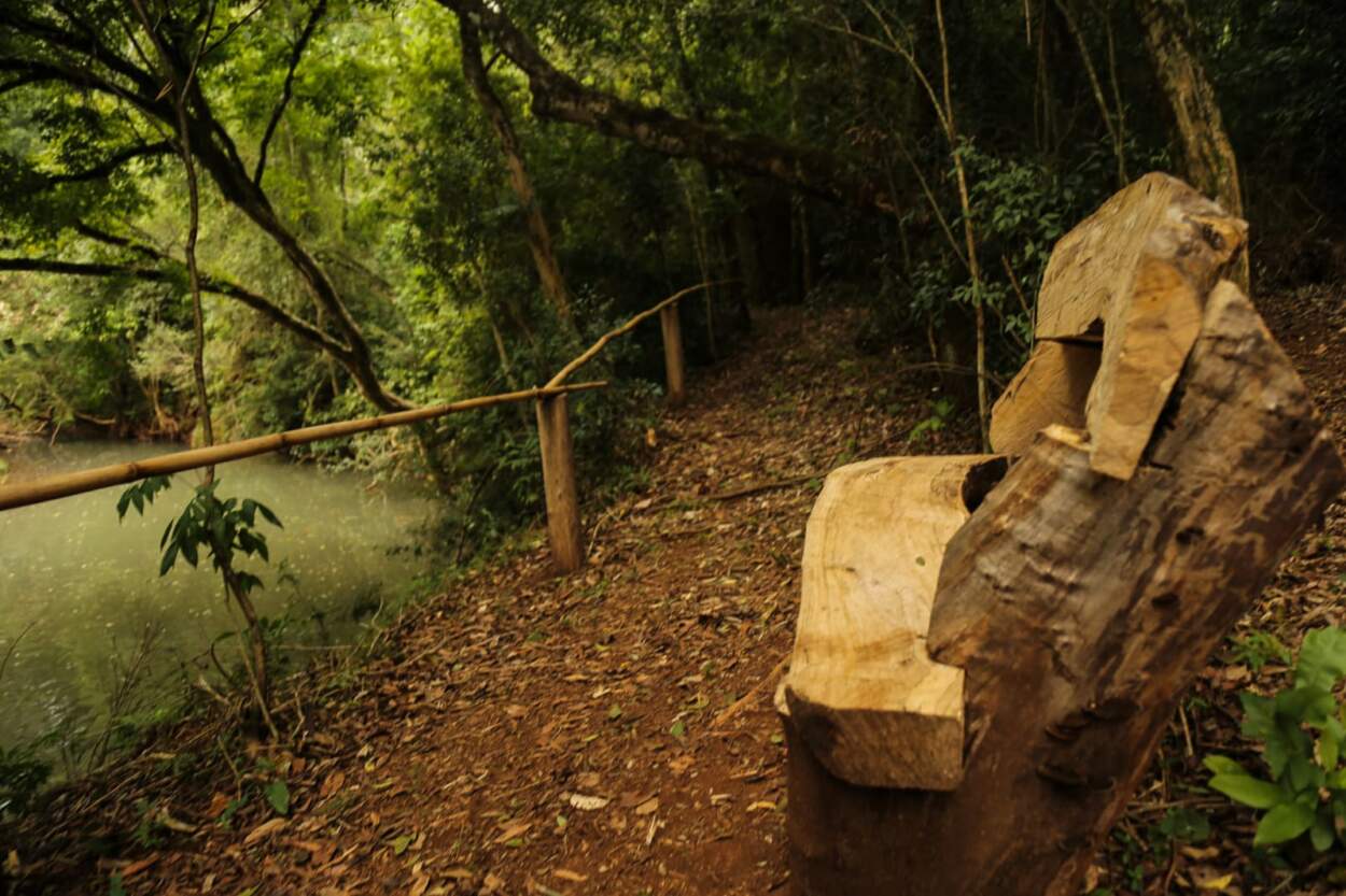 El Gobernador Passalacqua inauguró un observatorio de aves dentro del Parque Natural El Tombo en Colonia Alberdi 7 El Gobernador Passalacqua inauguró un observatorio de aves dentro del Parque Natural El Tombo en Colonia Alberdi imagen-6
