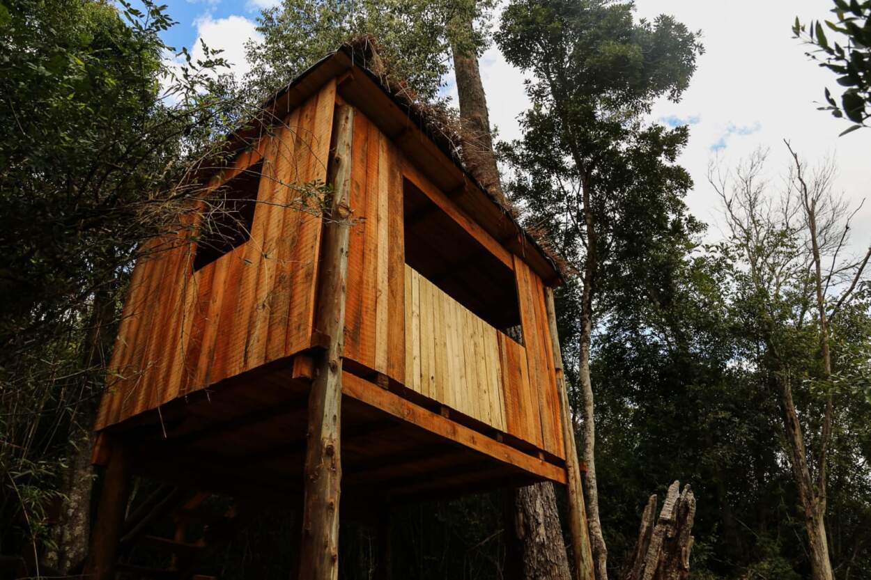 El Gobernador Passalacqua inauguró un observatorio de aves dentro del Parque Natural El Tombo en Colonia Alberdi 11 El Gobernador Passalacqua inauguró un observatorio de aves dentro del Parque Natural El Tombo en Colonia Alberdi imagen-10