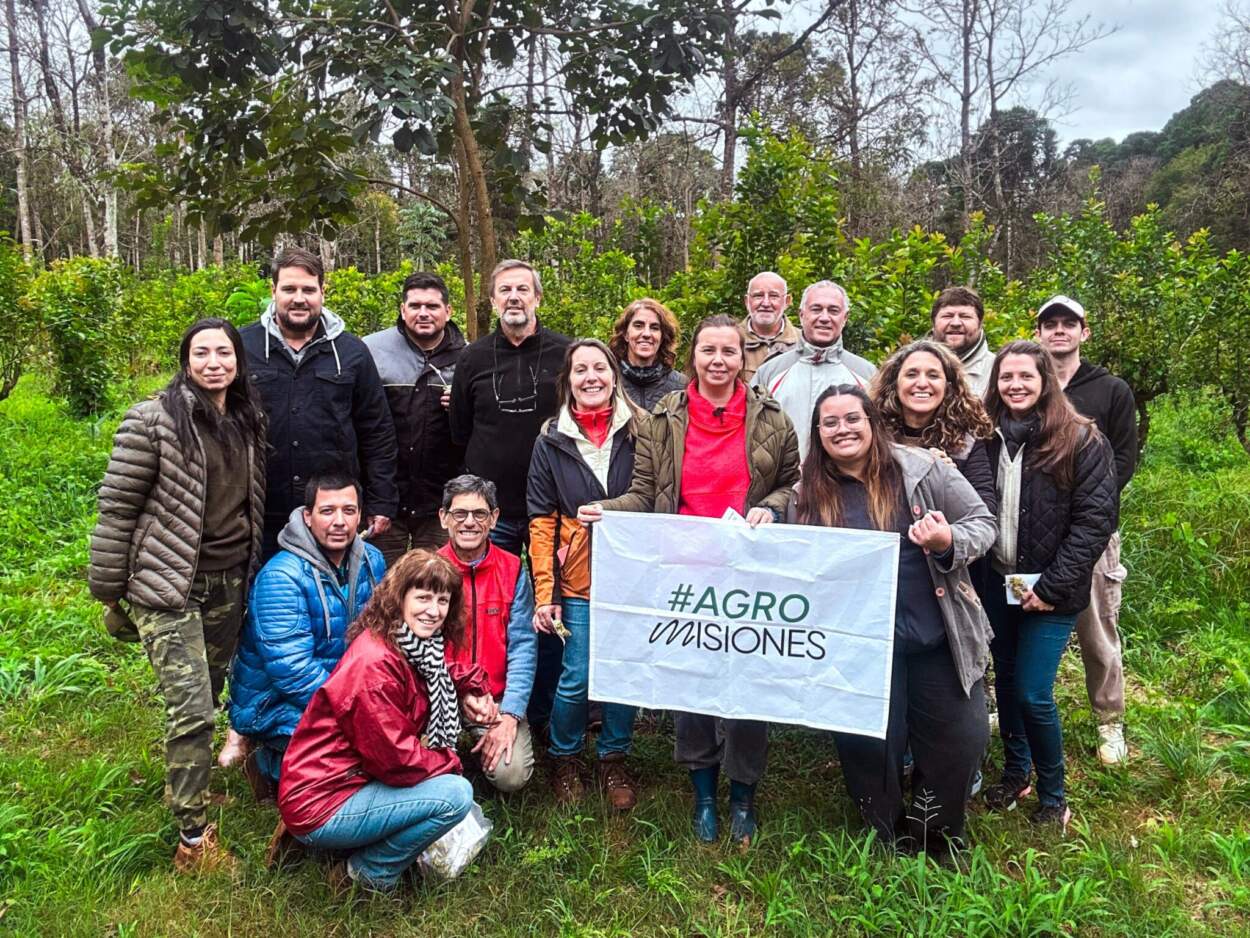 Con planificación estratégica y formación técnica en las chacras, Misiones profundiza su modelo de producción orgánica imagen-2