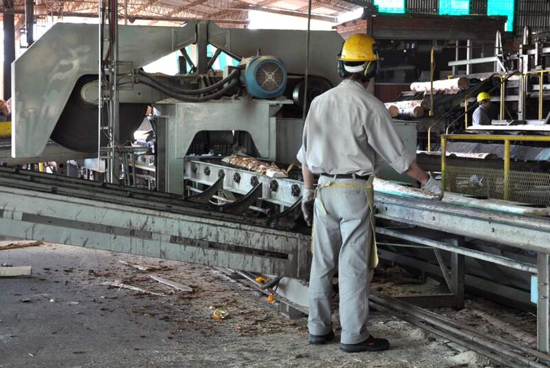 La paralización de la obra pública de Nación afecta al sector forestal misionero que ya acusa cese de plantaciones, bajas en ventas, reducción horaria y despidos imagen-2
