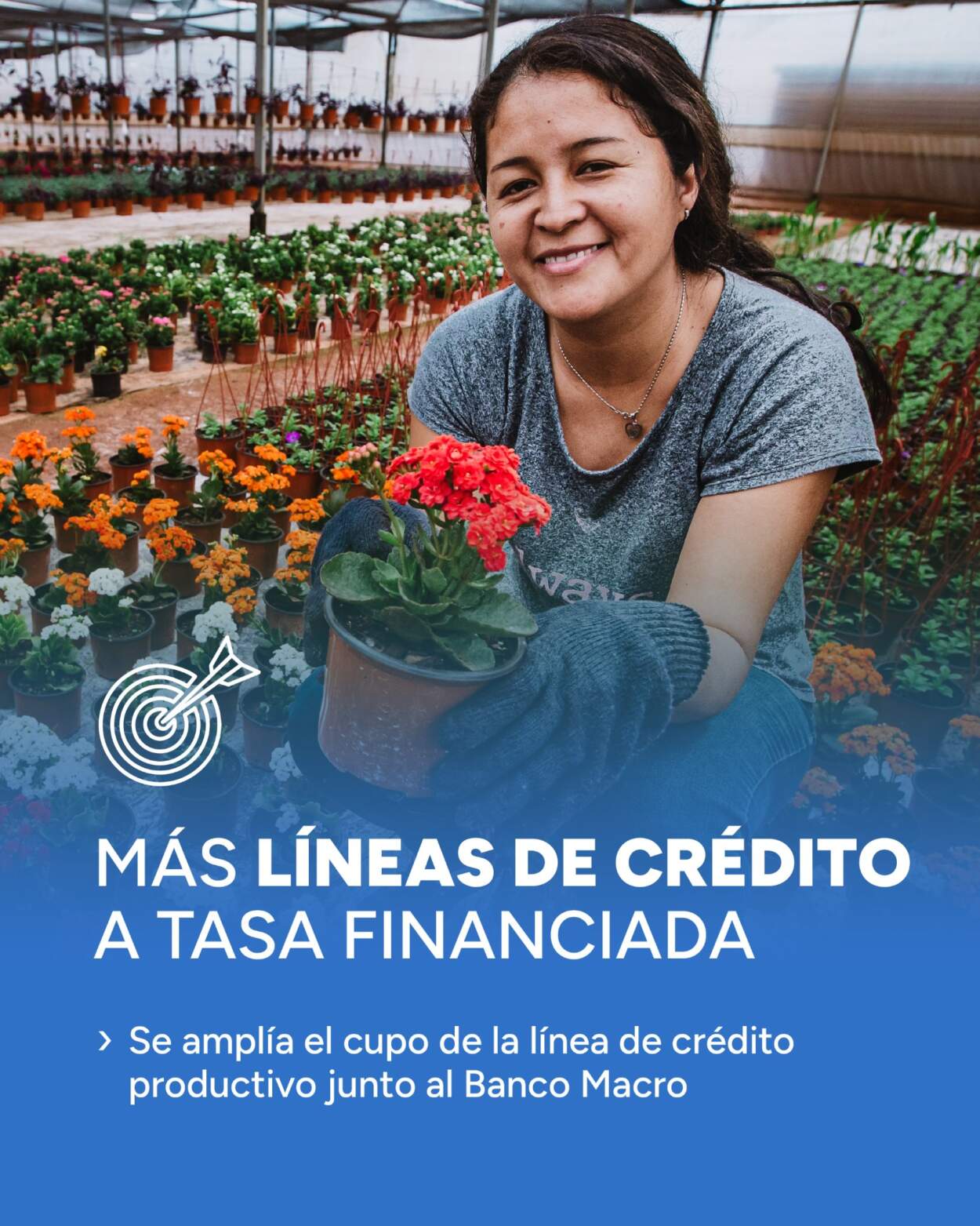 Amplían el cupo de la línea de crédito productivo en Misiones 3 Amplían el cupo de la línea de crédito productivo en Misiones imagen-2