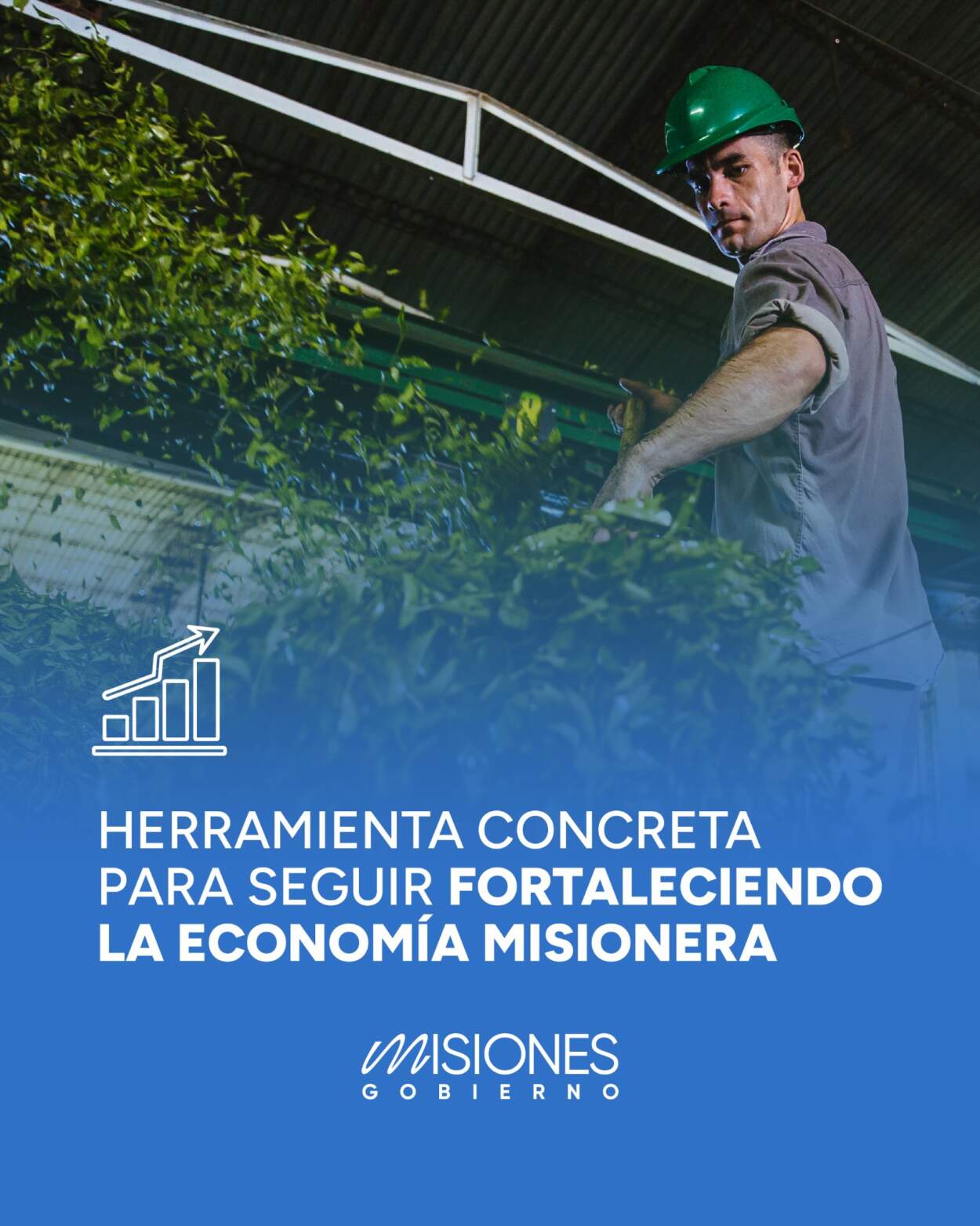 Amplían el cupo de la línea de crédito productivo en Misiones 9 Amplían el cupo de la línea de crédito productivo en Misiones imagen-8