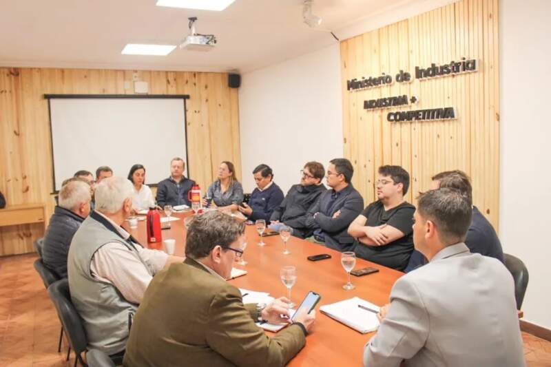 En la reunión del Gobierno provincial con la CEM, Apicofom y Amayadap se analizaron propuestas ante "la difícil situación que atraviesa el sector forestal" 7 En la reunión del Gobierno provincial con la CEM, Apicofom y Amayadap se analizaron propuestas ante "la difícil situación que atraviesa el sector forestal" imagen-6