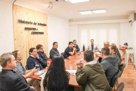 En la reunión del Gobierno provincial con la CEM, Apicofom y Amayadap se analizaron propuestas ante "la difícil situación que atraviesa el sector forestal" imagen-1