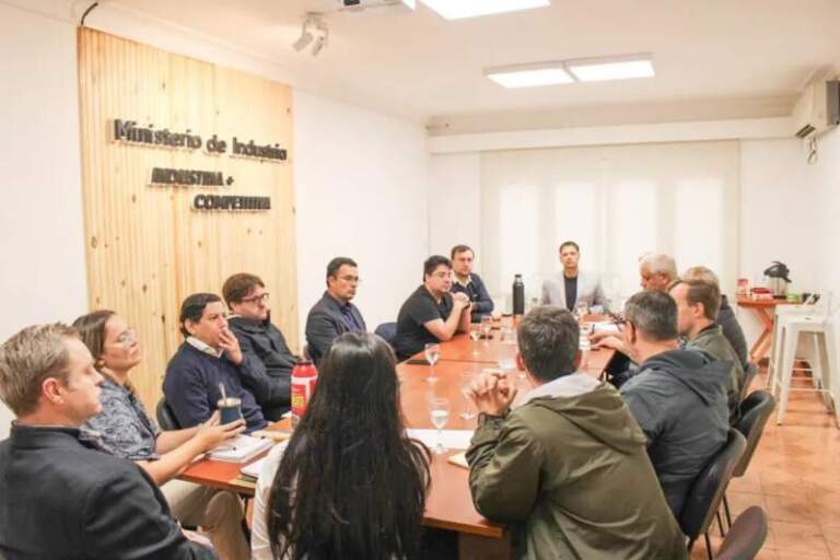 En la reunión del Gobierno provincial con la CEM, Apicofom y Amayadap se analizaron propuestas ante "la difícil situación que atraviesa el sector forestal" imagen-10