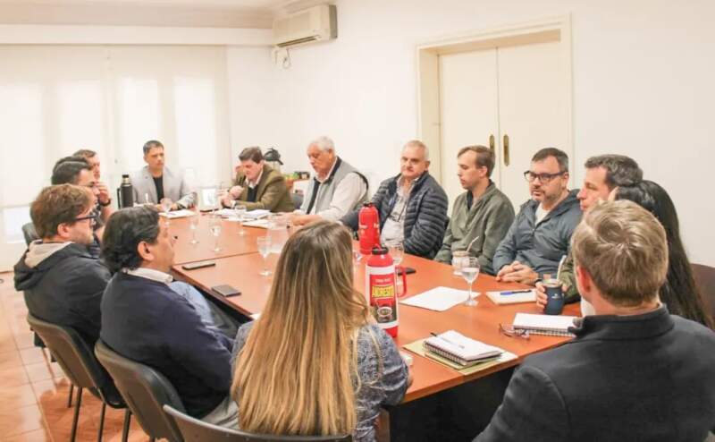 En la reunión del Gobierno provincial con la CEM, Apicofom y Amayadap se analizaron propuestas ante "la difícil situación que atraviesa el sector forestal" 5 En la reunión del Gobierno provincial con la CEM, Apicofom y Amayadap se analizaron propuestas ante "la difícil situación que atraviesa el sector forestal" imagen-4