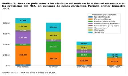 Destacan que Misiones es la provincia del NEA con mayor volumen de créditos destinados a la economía imagen-7