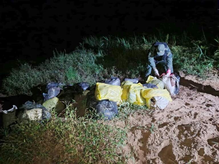 Hallan 915 kilos de marihuana acopiados a la vera del río Paraná imagen-24