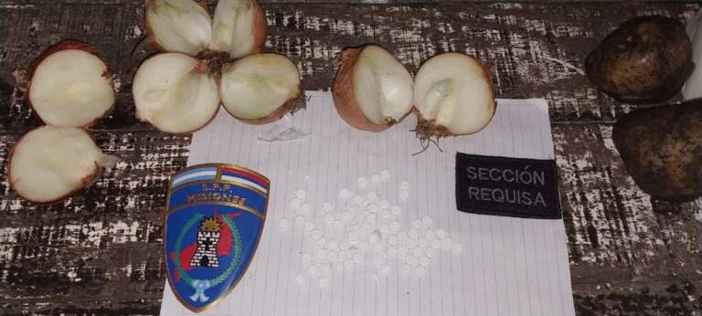 Creatividad delictiva: ocultaron drogas en cebollas para burlar controles imagen-31