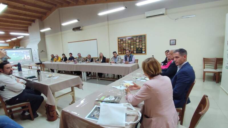 Misiones y Paraguay avanzan en acuerdos para potenciar el sector industrial y forestal imagen-8