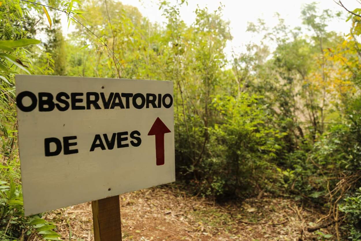El Gobernador Passalacqua inauguró un observatorio de aves dentro del Parque Natural El Tombo en Colonia Alberdi 15 El Gobernador Passalacqua inauguró un observatorio de aves dentro del Parque Natural El Tombo en Colonia Alberdi imagen-14