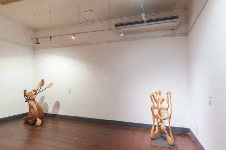 El Museo Provincial Juan Yaparí recibe la primera etapa del recorrido itinerante de la Bienal Cainguás con esculturas sobre biodiversidad imagen-46