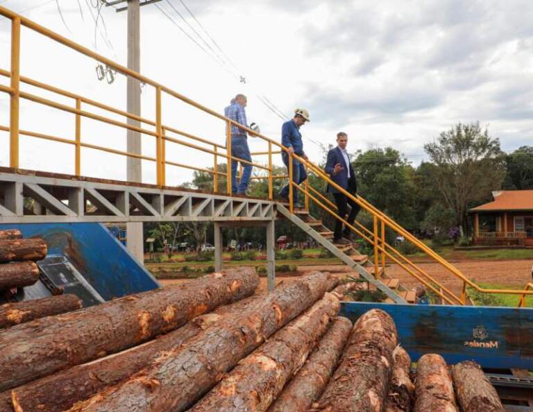 Misiones y Paraguay avanzan en acuerdos para potenciar el sector industrial y forestal imagen-2