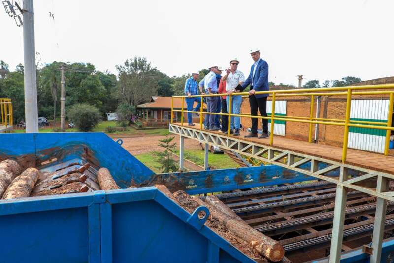 Misiones y Paraguay avanzan en acuerdos para potenciar el sector industrial y forestal imagen-10