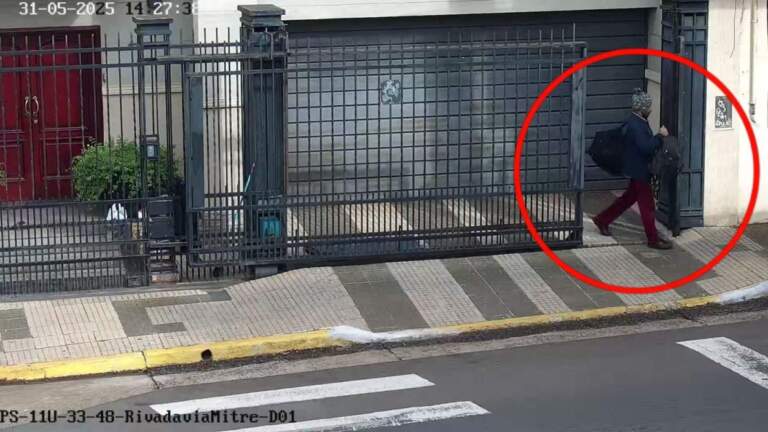 Cámaras del 911 advirtieron a las patrullas de un robo en curso y así atraparon al ladrón imagen-16