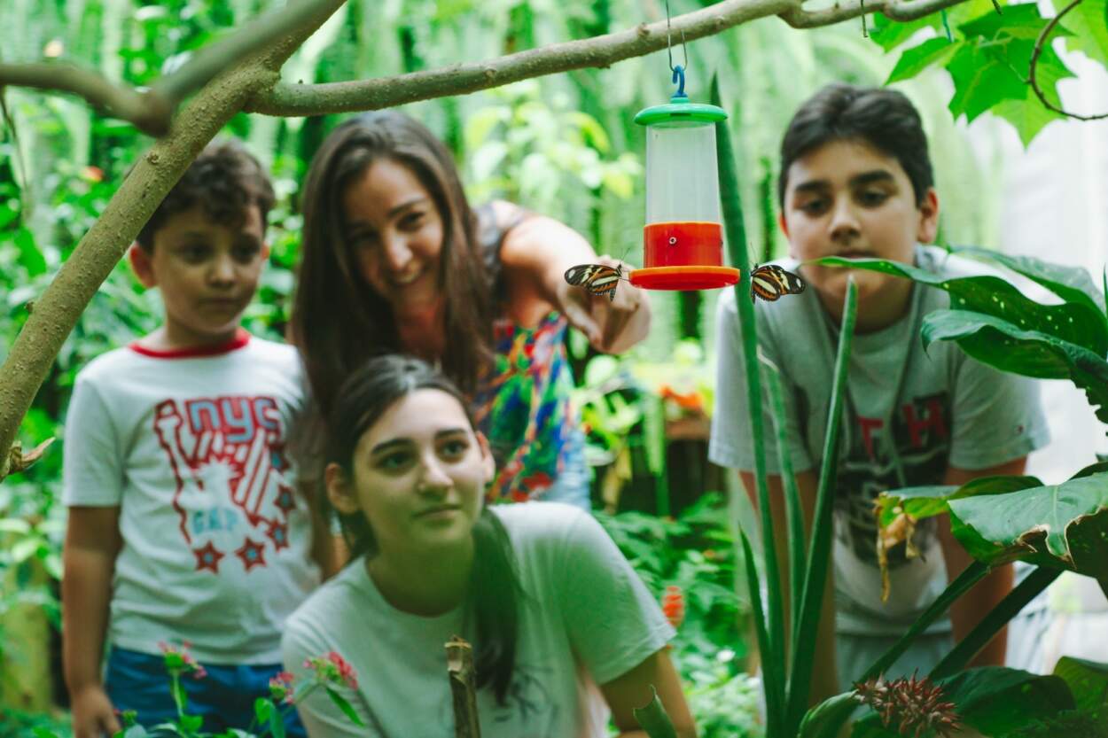 Vuelos directos entre Córdoba y Posadas: oportunidad clave para fortalecer la conectividad aérea regional y promover el turismo receptivo durante la temporada invernal imagen-8