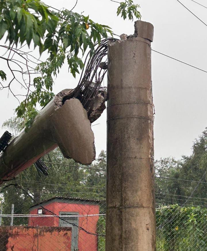 Actualización: Con refuerzos, avanzan las reparaciones del tendido eléctrico en Puerto Iguazú 9 Actualización: Con refuerzos, avanzan las reparaciones del tendido eléctrico en Puerto Iguazú imagen-8