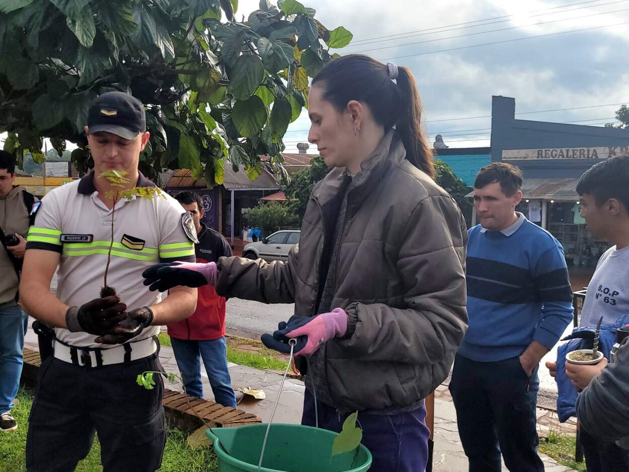 Campo Grande rememoró el Día Mundial del Medio Ambiente con una plantación de árboles en la avenida Los Cafetales 7 Campo Grande rememoró el Día Mundial del Medio Ambiente con una plantación de árboles en la avenida Los Cafetales imagen-6