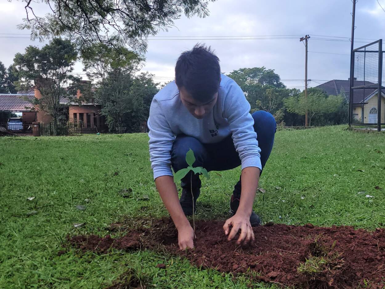 Campo Grande rememoró el Día Mundial del Medio Ambiente con una plantación de árboles en la avenida Los Cafetales 9 Campo Grande rememoró el Día Mundial del Medio Ambiente con una plantación de árboles en la avenida Los Cafetales imagen-8