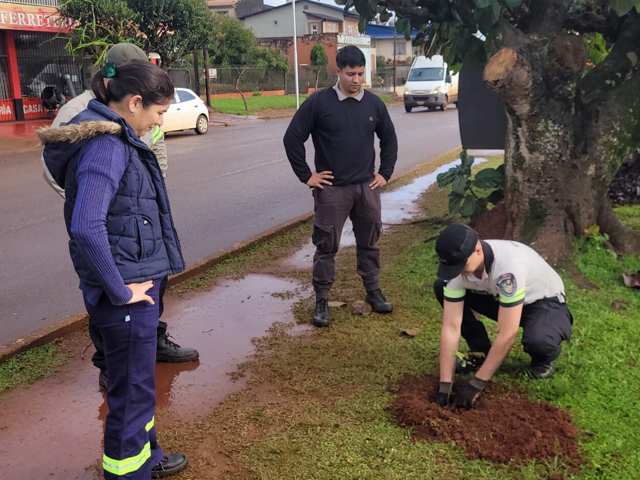Campo Grande rememoró el Día Mundial del Medio Ambiente con una plantación de árboles en la avenida Los Cafetales 5 Campo Grande rememoró el Día Mundial del Medio Ambiente con una plantación de árboles en la avenida Los Cafetales imagen-4