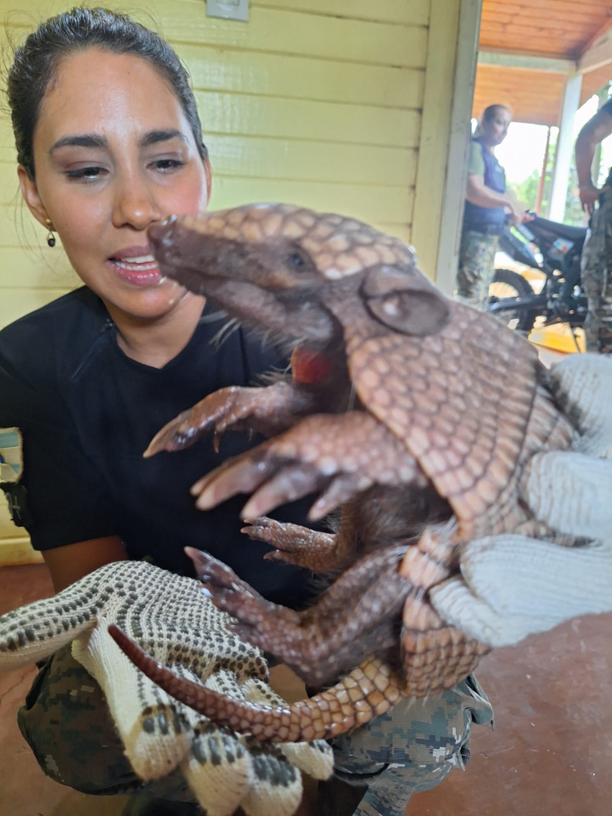 Cazadores, traficantes y tala ilegal: el "frente verde" de la Policía de Misiones suma más de 130 rescates 5 Cazadores, traficantes y tala ilegal: el "frente verde" de la Policía de Misiones suma más de 130 rescates imagen-4