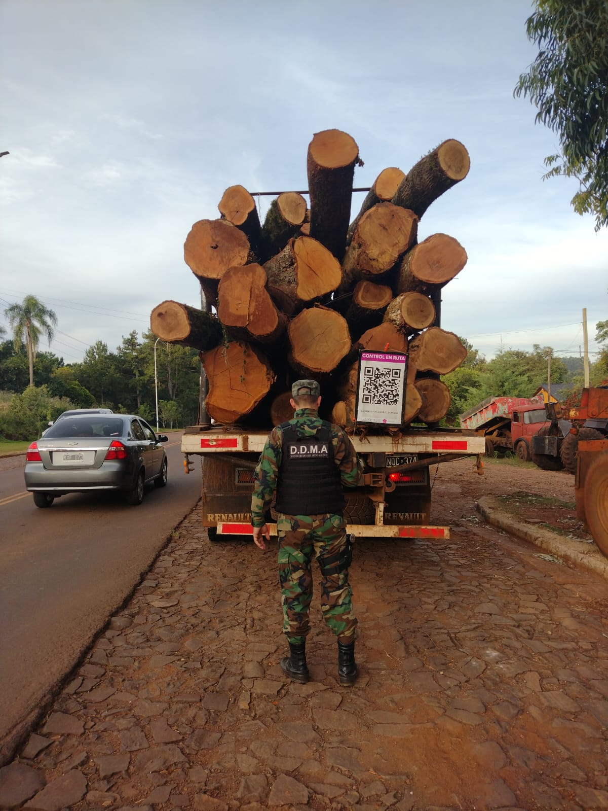 Cazadores, traficantes y tala ilegal: el "frente verde" de la Policía de Misiones suma más de 130 rescates 9 Cazadores, traficantes y tala ilegal: el "frente verde" de la Policía de Misiones suma más de 130 rescates imagen-8