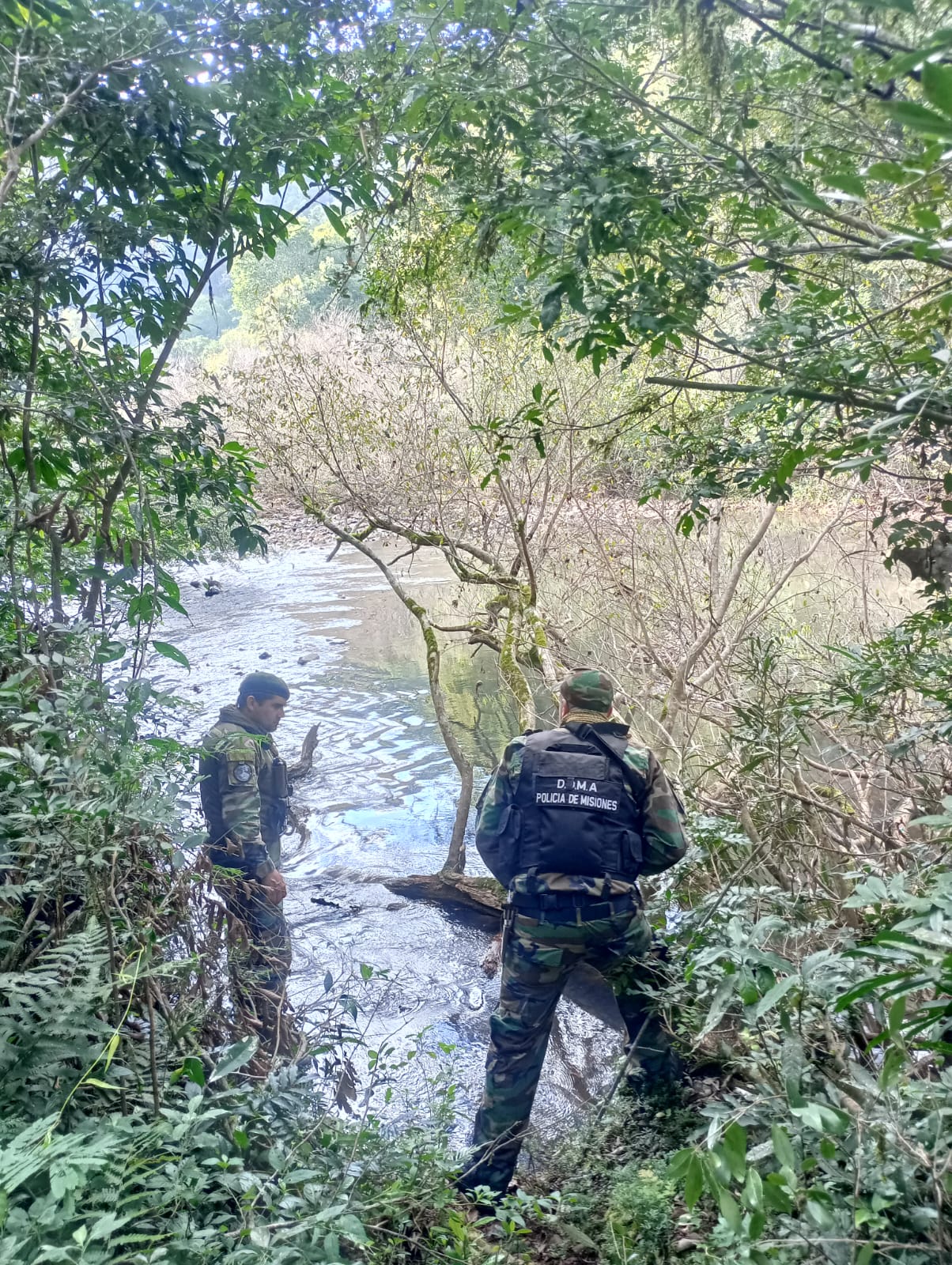 Cazadores, traficantes y tala ilegal: el "frente verde" de la Policía de Misiones suma más de 130 rescates 15 Cazadores, traficantes y tala ilegal: el "frente verde" de la Policía de Misiones suma más de 130 rescates imagen-14