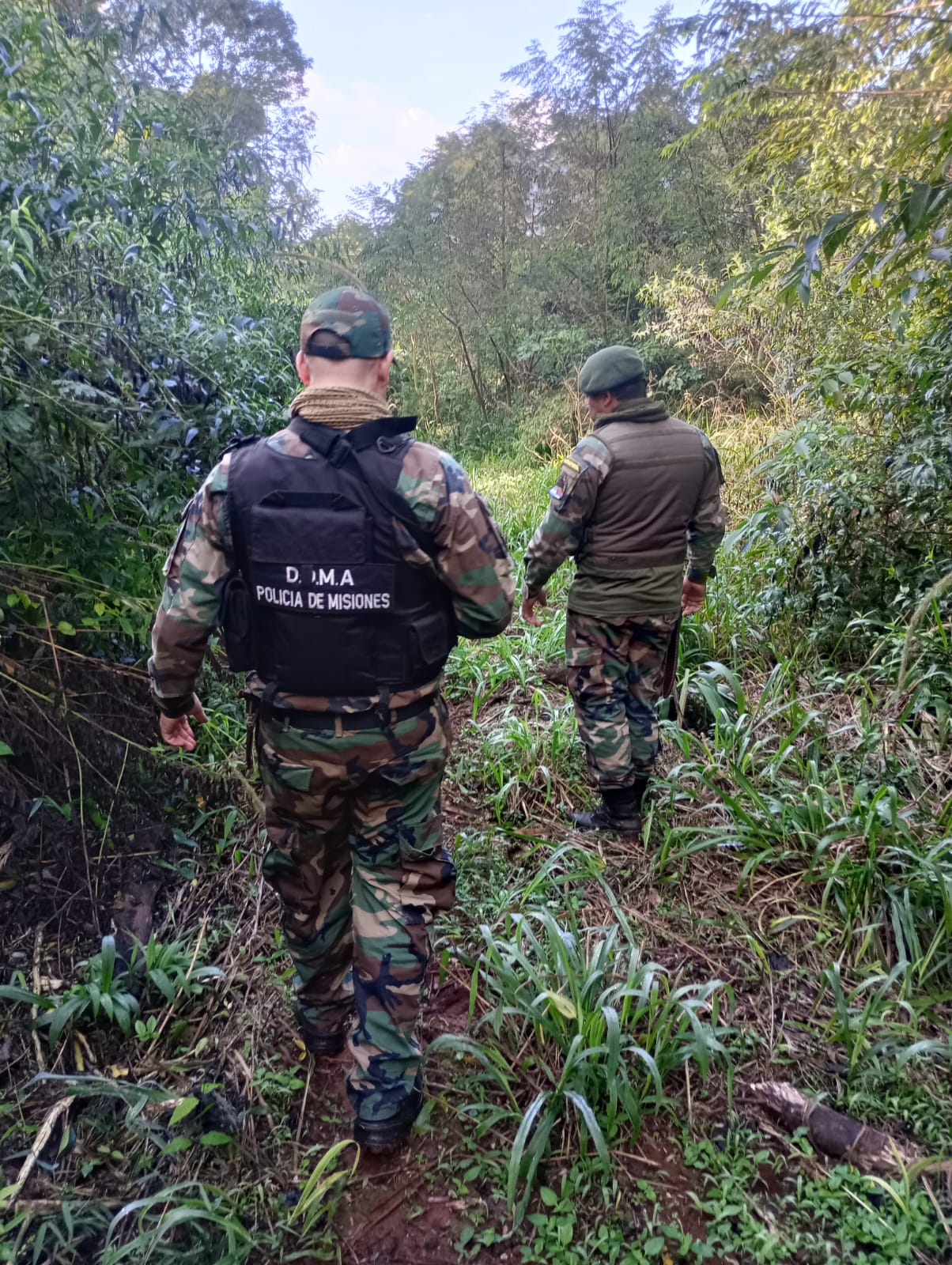 Cazadores, traficantes y tala ilegal: el "frente verde" de la Policía de Misiones suma más de 130 rescates 13 Cazadores, traficantes y tala ilegal: el "frente verde" de la Policía de Misiones suma más de 130 rescates imagen-12