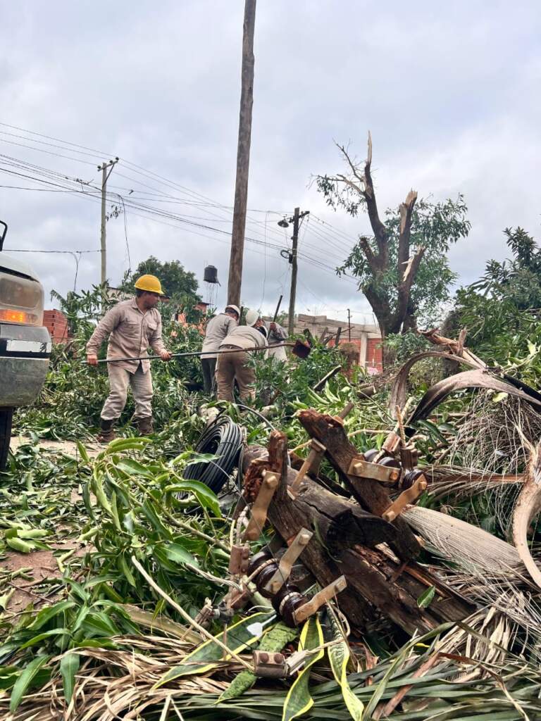 Panorama sobre servicio eléctrico en Puerto Iguazú: “No hay registros de este nivel de daños” imagen-7